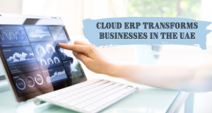 Sky-High Success: How Cloud ERP Transforms Businesses in the UAE!