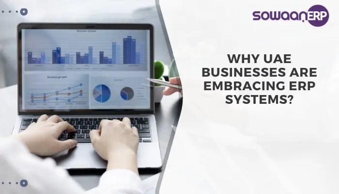  Why UAE Businesses Are Embracing ERP Systems?