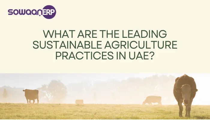  What Are the Leading Sustainable Agriculture Practices in UAE?