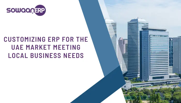  Customizing ERP for the UAE Market: Meeting Local Business Needs