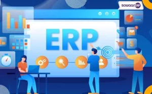Why do people think distribution ERP software in Pakistan is a good idea?
