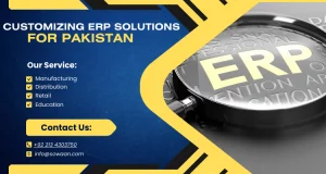 Customizing ERP solutions for Pakistan: Addressing local business needs