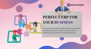 How to Choose the Perfect ERP Software for Your Business?