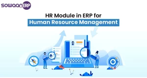 Efficient HR management: A guide to software solutions