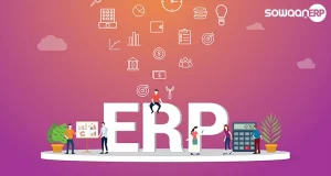 What is the implementation process for ERP software in Pakistan?