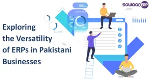 Cross-Industry Synergy: Exploring the Versatility of ERPs in Pakistani Businesses