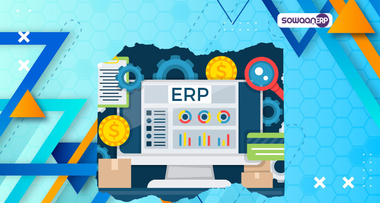  Why Your Business Needs an ERP Consultant to Stay Competitive